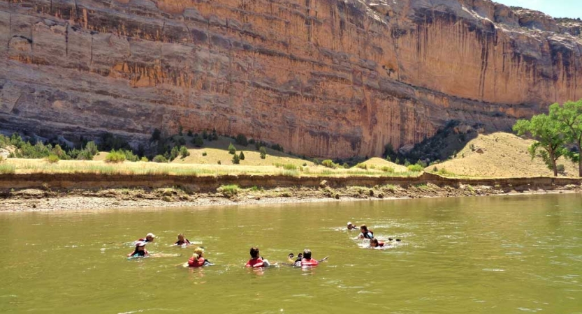 A group of people swim in a river framed by canyon walls